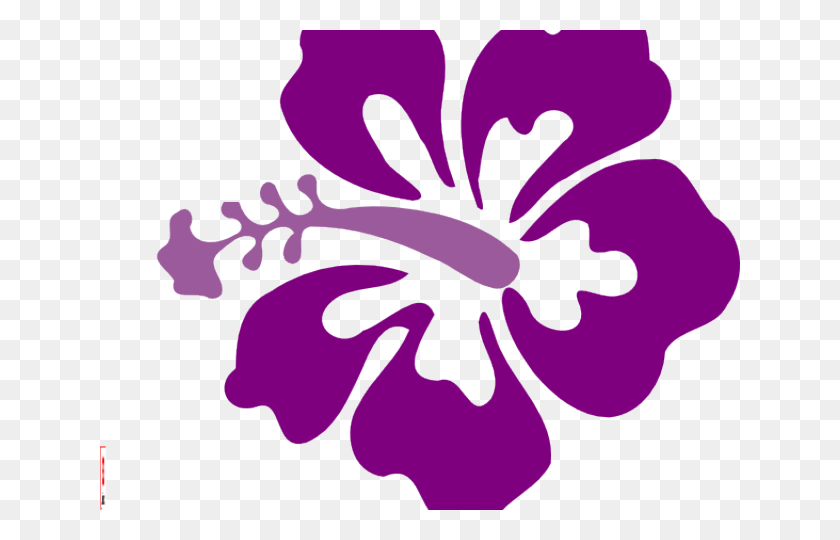 640x480 Descargar Png / Hibiscus Png