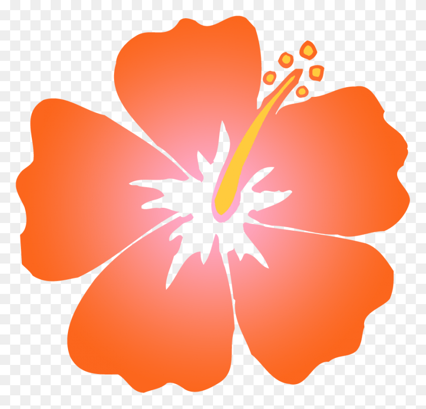 900x863 Descargar Png / Hibiscus Clipart Coral Orange Hibiscus Flower Clipart, Graphics, Text Hd Png