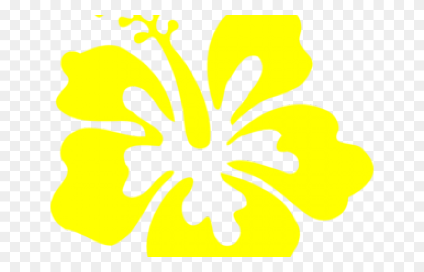 640x480 Гибискус Моана Альтернативный Флаг Пуэрто-Рико, Растение, Пыльца, Цветок Hd Png Скачать