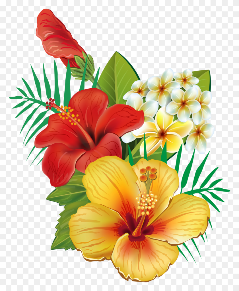 1014x1250 Hibiscus Clipart Real Flower Hibiscus Cross Stitch, Plant, Blossom, Pollen HD PNG Download