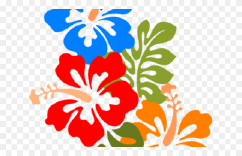 640x480 Гибискус Красный Гавайский Цветок Гибискус Картинки, Растение, Цветок, Цветение Hd Png Скачать