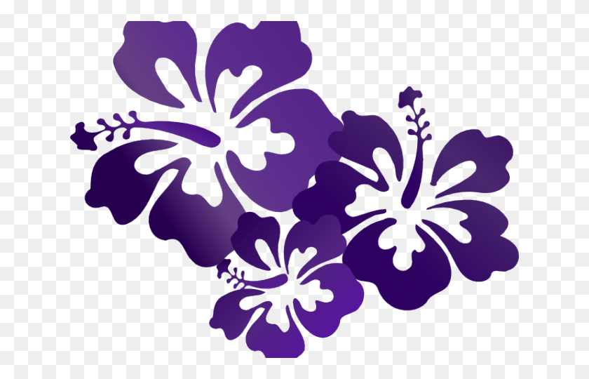 640x480 Hibiscus Flower Cartoon Purple Flower Vector, Planta, Flor, Blossom Hd Png