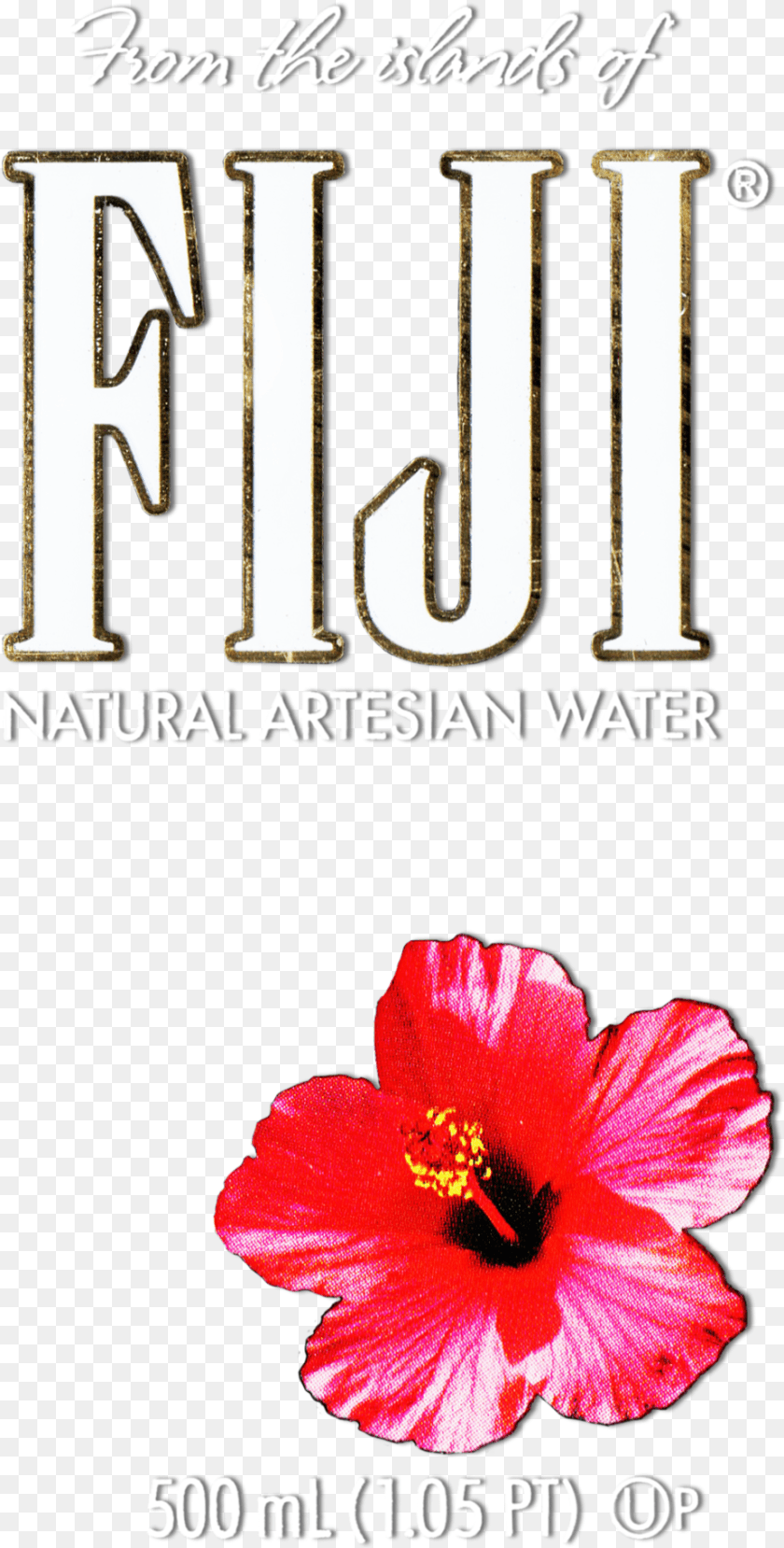 925x1826 Hibiscus Flower Image Collections Fiji Water Bottle Flower, Plant, Book, Publication, Rose Transparent PNG
