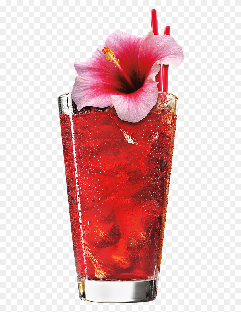 446x1025 Hibiscus Passion Fruit Sorbet Globallee Taka, Plant, Beverage, Drink HD PNG Download