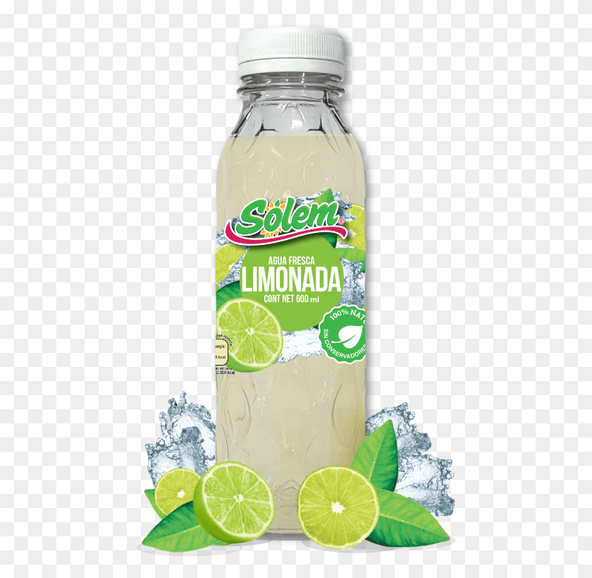 455x759 Hibiscus Tea Mojito, Lemonade, Beverage, Drink HD PNG Download