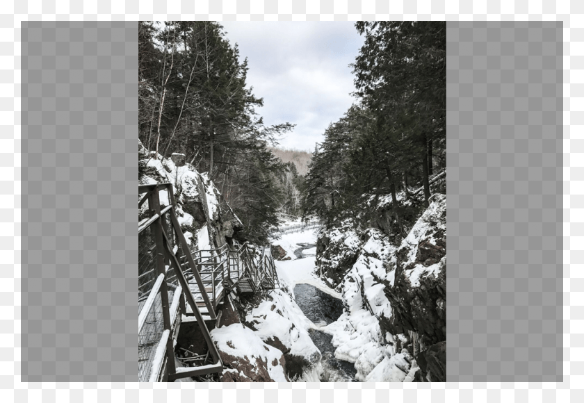 992x662 High Falls Gorge Is A Day Trip You Don39t Want To Miss Snow, Nature, Tree, Plant HD PNG Download