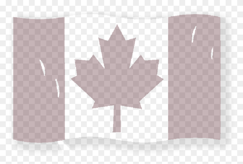 791x516 Bandera De Canadá Png / Bandera De Canadá Hd Png