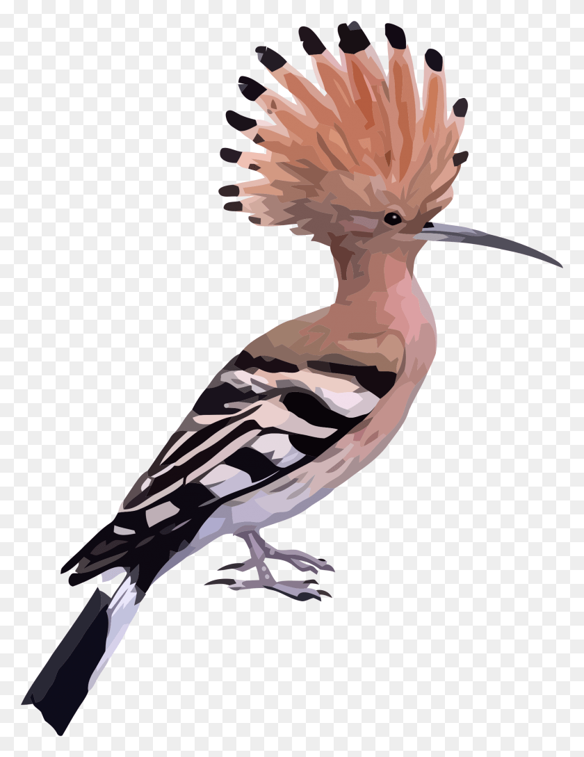 1756x2318 High Resolution Wallpaper Hoopoe Bird, Animal, Beak HD PNG Download