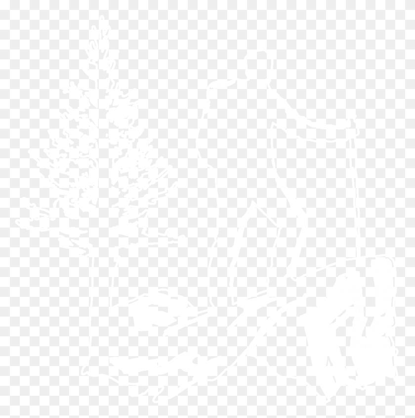1179x1188 Hiker Illustration, Tree, Plant, Person HD PNG Download