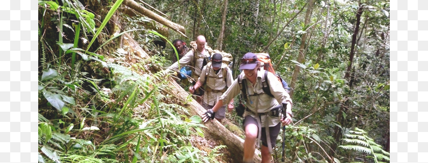 690x321 Hikers On The Black Cat Track In Papua New Guinea Old Growth Forest, Vegetation, Land, Leisure Activities, Nature PNG