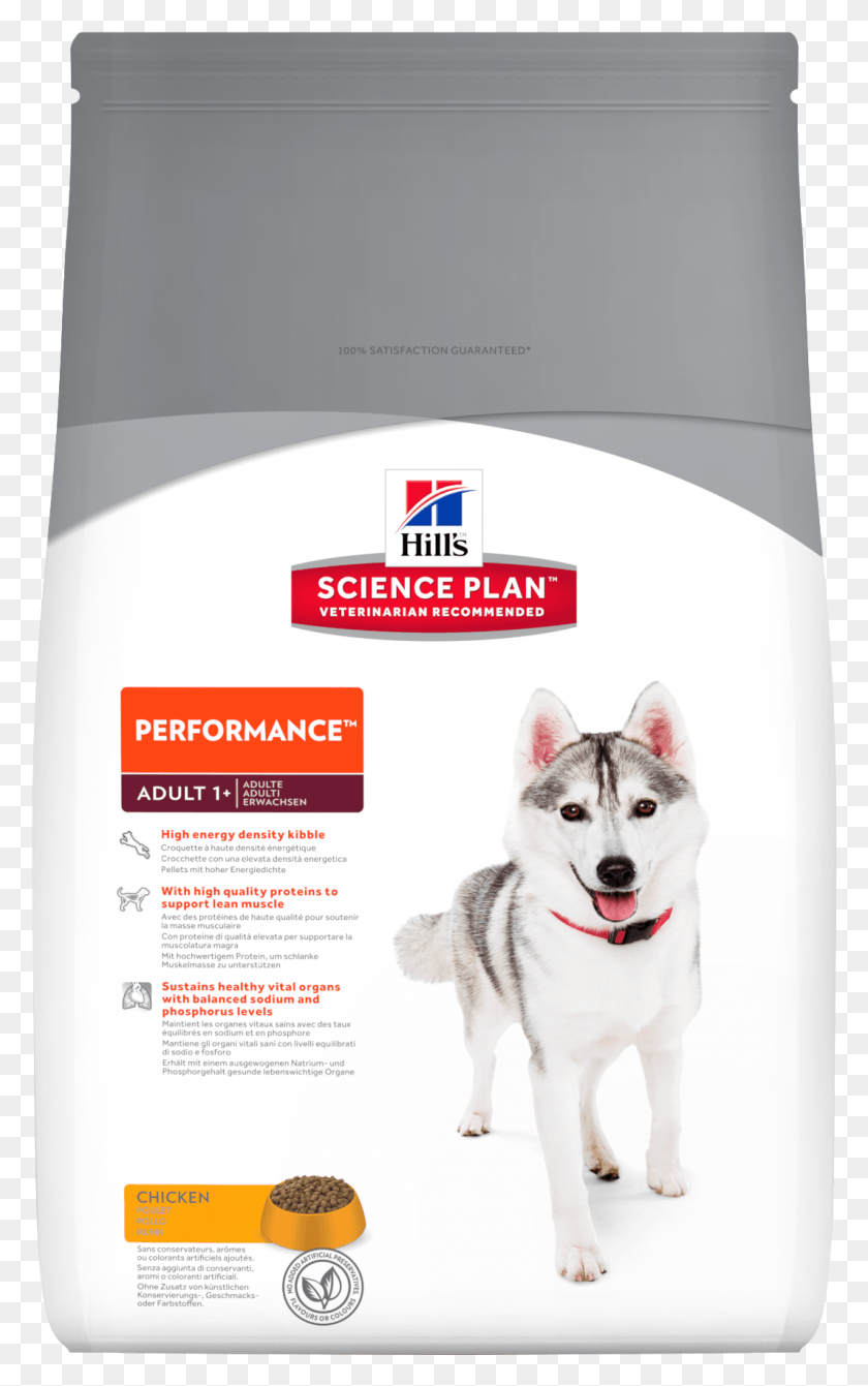 1065x1750 Hills Adult Performance Dog Food 7569 Science Diet Adult Sensitive, Dog, Pet, Canine HD PNG Download