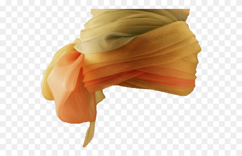 558x481 Hindu Clipart Turban Stole, Clothing, Apparel, Plant HD PNG Download