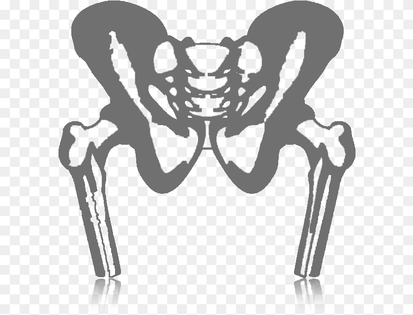 Hip, Person, Animal, Bird PNG