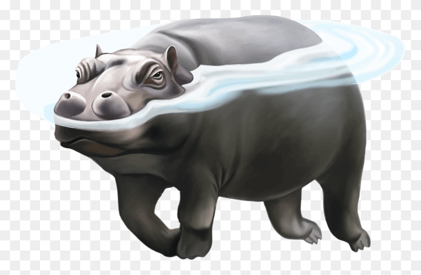 800x502 Hipopótamo Png / Hipopótamo Vs Oso Polar Hd Png