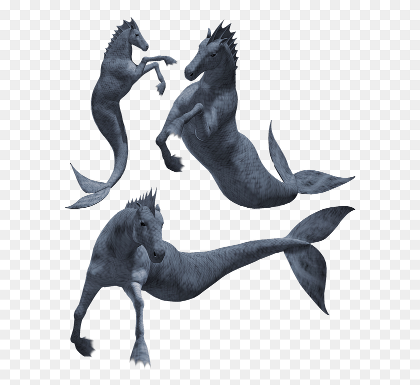 586x711 Hippocampus Seahorse Monster Creature Beast Horse Seahorse Monster, Mammal, Animal, Sea Life HD PNG Download
