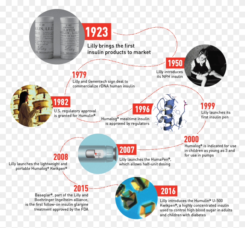 923x856 History Of Lilly Insulin Timeline Infographic Circle, Person, Human, Text HD PNG Download