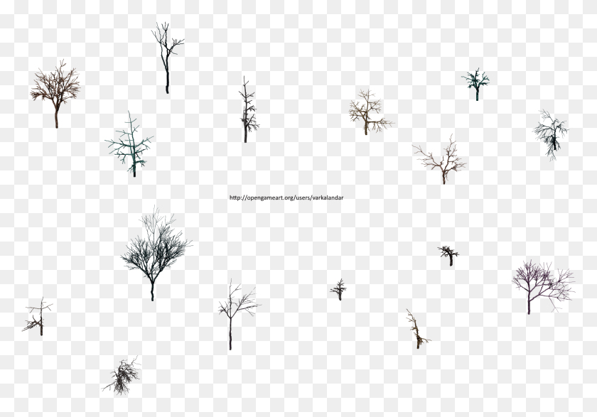 2039x1379 Hjm Мертвые Деревья Без Корней 1 Alpha Line Art, Снежинка, Цветок, Растение Hd Png Скачать