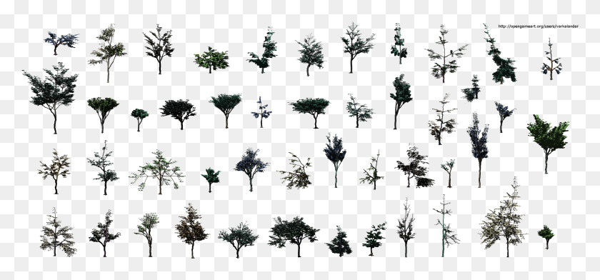 2720x1160 Hjm Small Trees Sideview Alpha, Tree, Plant, Conifer Descargar Hd Png