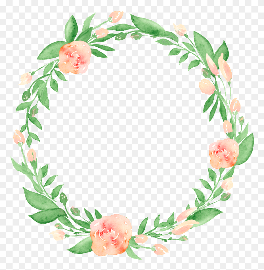 907x933 Hojas Vector Folha Wreath Watercolor Transparent Background, Pattern, Floral Design, Graphics HD PNG Download