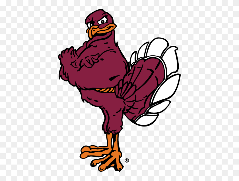 433x578 Hokiebird В Цвете С Зарегистрированным Товарным Знаком Логотип Virginia Tech Hokie, Животное, Птица, Домашняя Птица Png Скачать