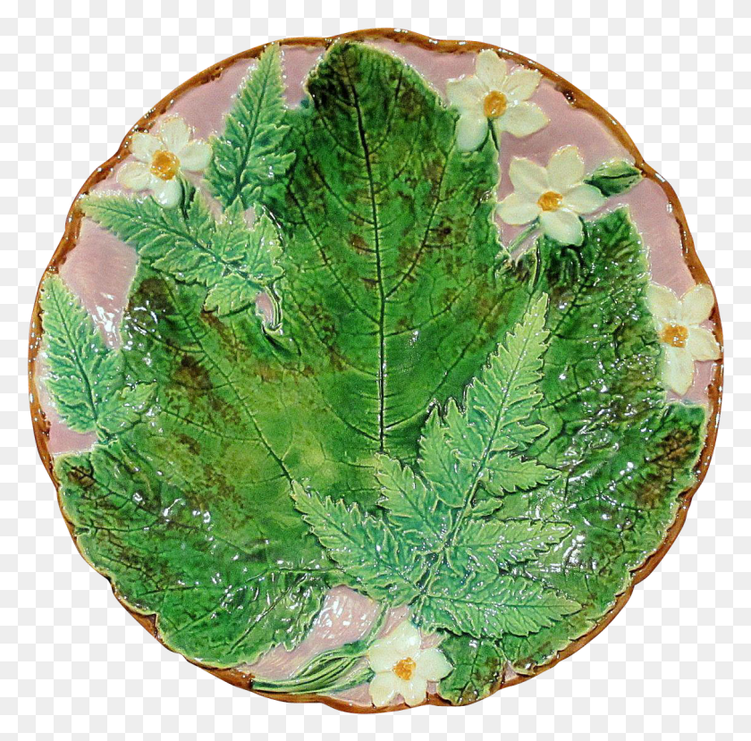 1125x1110 Holdcroft Fern Leaf And Flower Majolica Plate Circa Ceramic, Plant, Pineapple, Fruit HD PNG Download