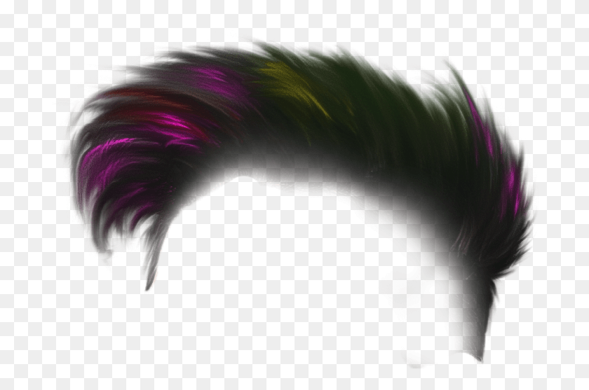 730x497 Holi Cabello, Adorno, Patrón, Fractal Hd Png