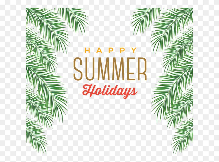 641x563 Holiday At Home By Jason Grant Amp Lauren Bamford Summer Holiday .png, Tree, Plant, Conifer HD PNG Download