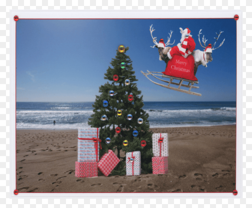 1033x839 Holiday Opc29 Notecard Christmas Lights, Tree, Plant, Christmas Tree HD PNG Download
