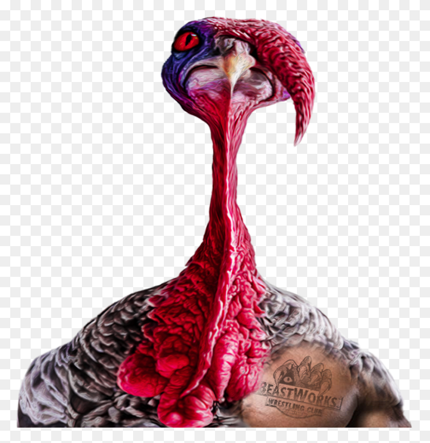 909x937 Holiday Turkey, Bird, Animal, Turkey Bird HD PNG Download