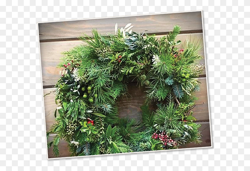 598x516 Holiday Wreath Transparent Background Wreath HD PNG Download