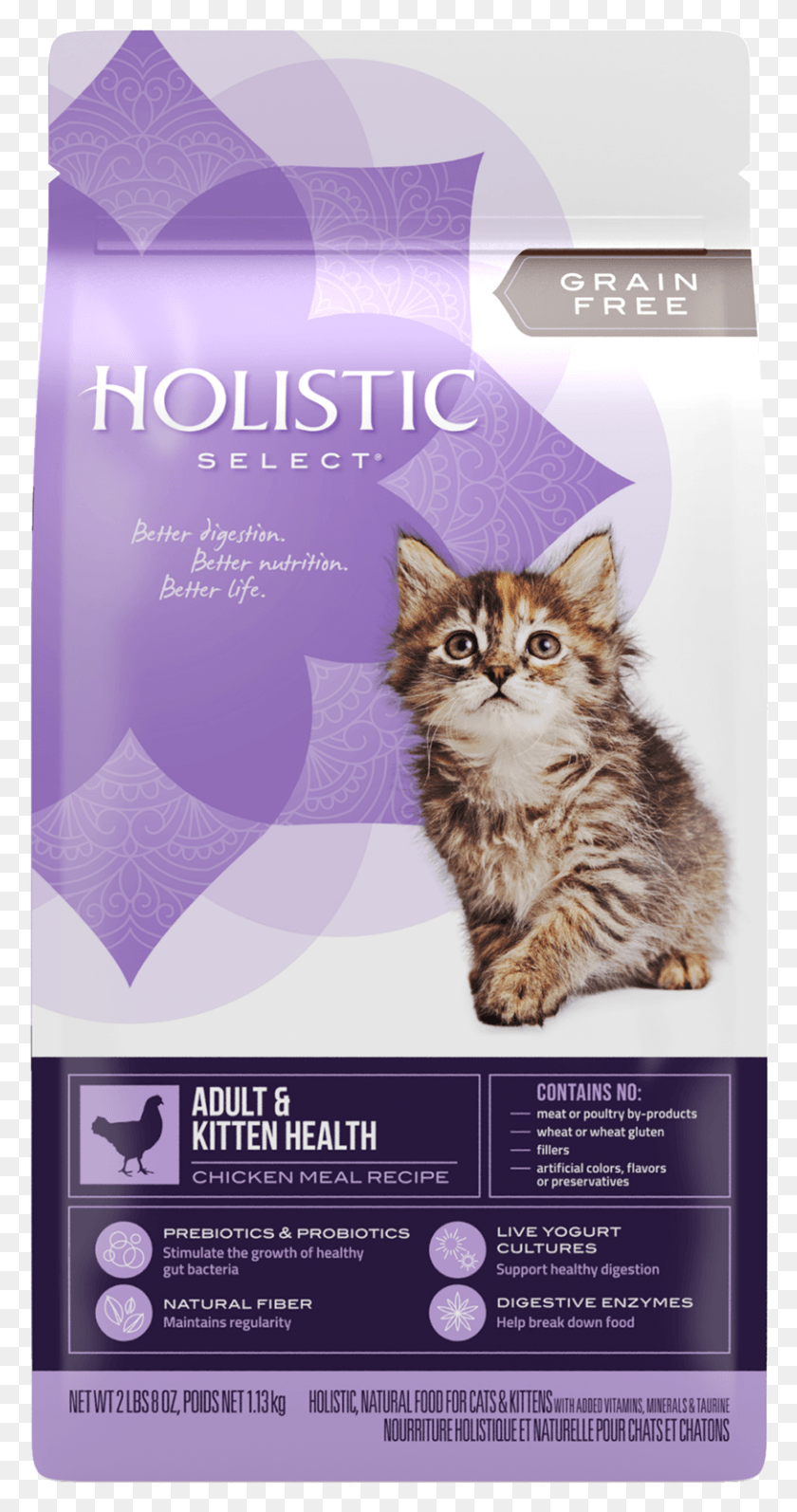 813x1599 Holistic, Cat, Pet, Mammal HD PNG Download