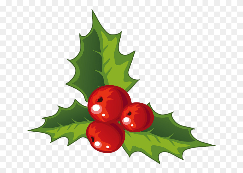 650x538 Holly, Leaf, Plant, Food HD PNG Download