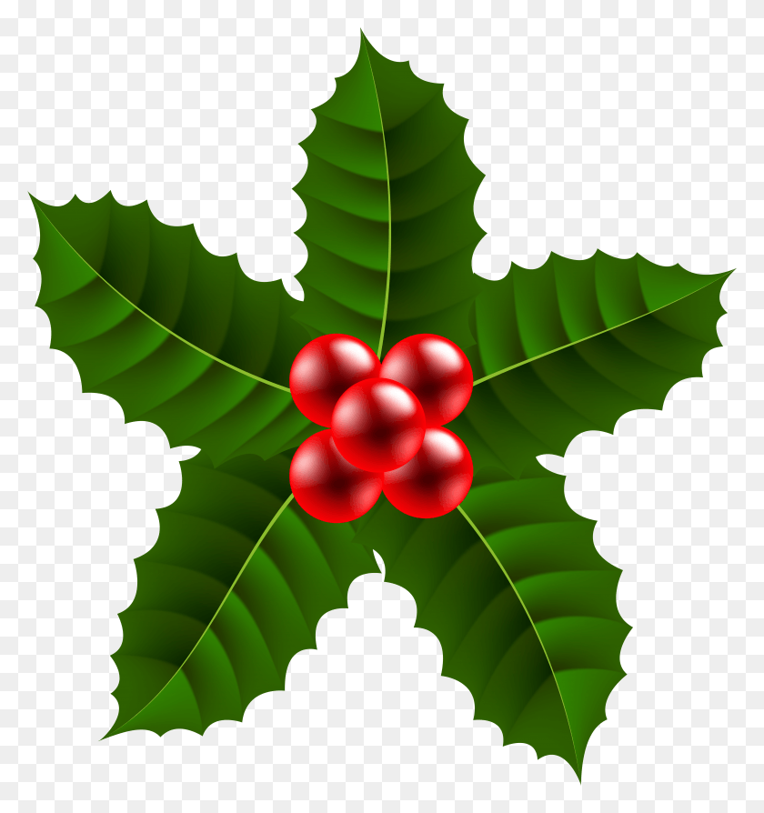 6816x7293 Holly HD PNG Download
