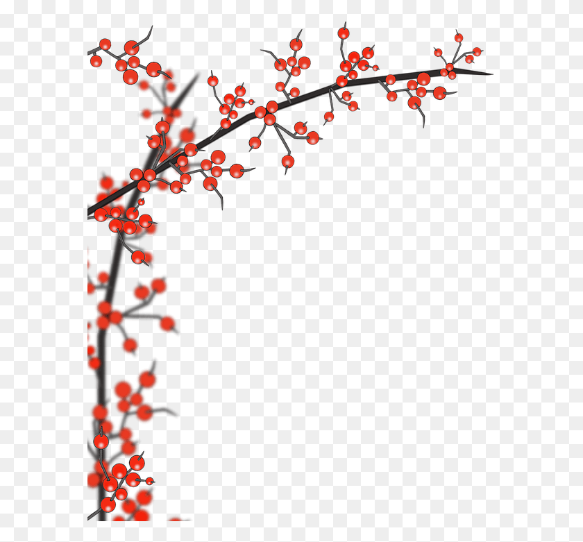 589x721 Holly Branch Images Christmas Holly Branch, Plant, Petal, Flower HD PNG Download