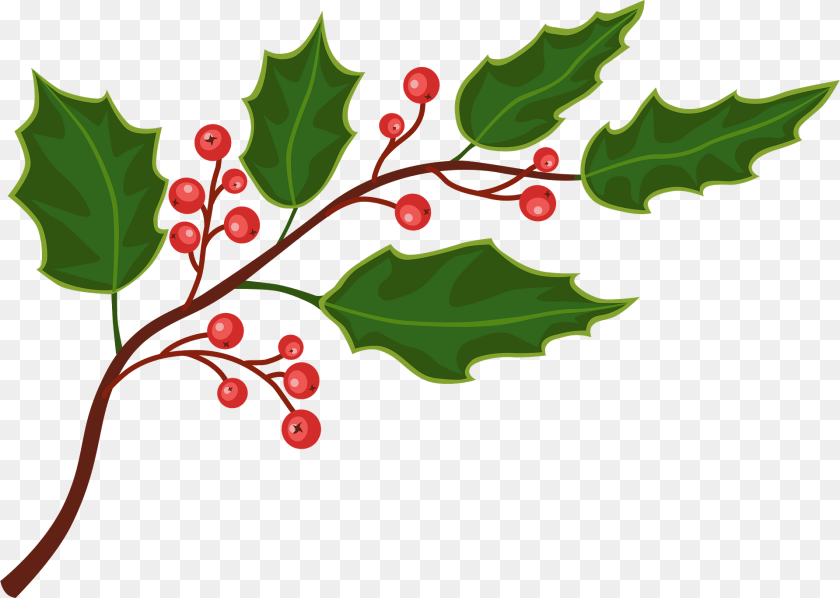 1920x1366 Holly Clipart, Leaf, Plant, Tree, Art Transparent PNG