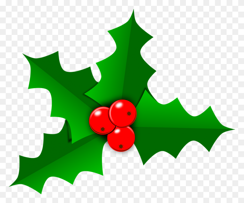 880x720 Holly Leaf, Plant, Person, Human HD PNG Download