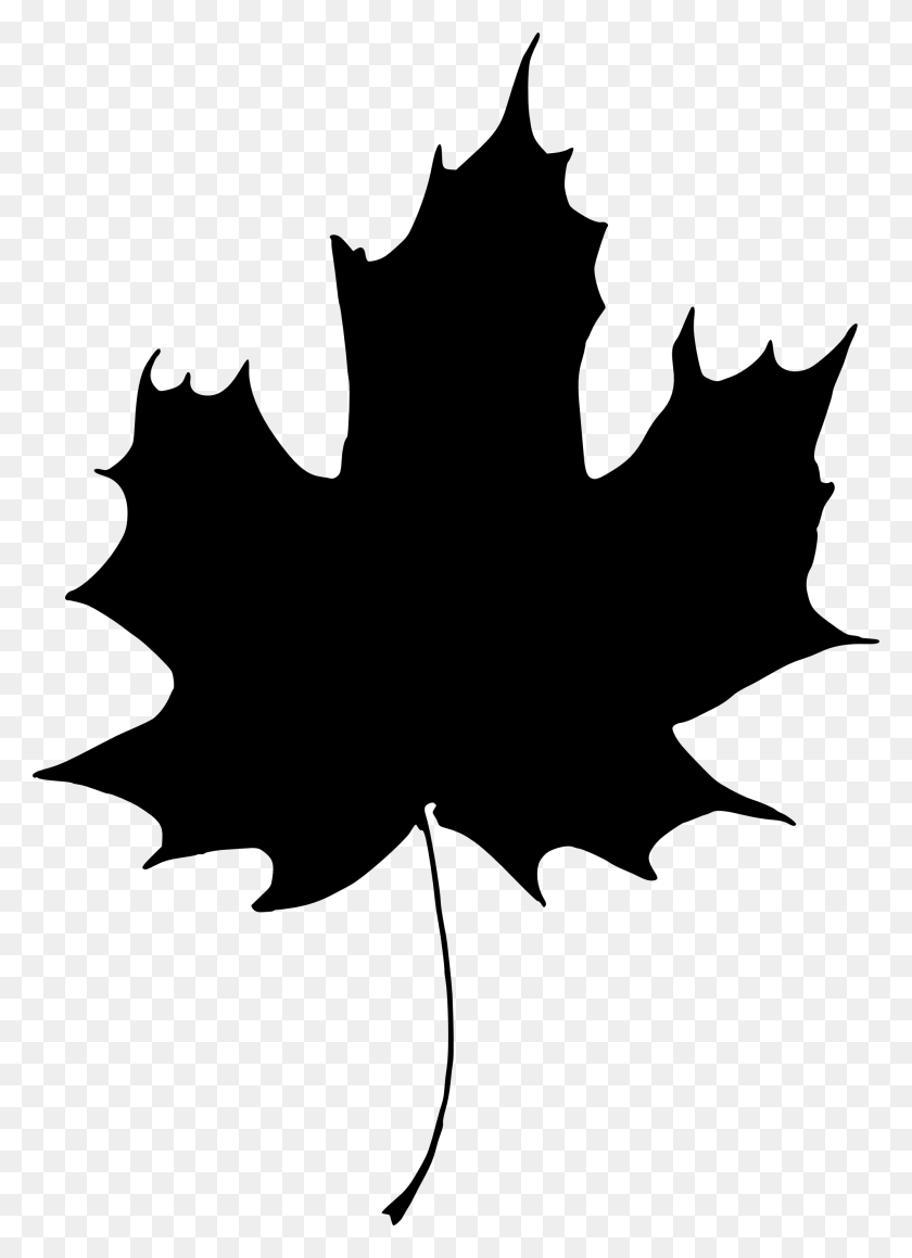 2000x2820 Holly Leaf Silhouette White Leaf Transparent Background, Plant, Tree, Maple Leaf HD PNG Download