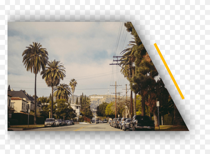 1263x905 Hollywood Hills Hollywood 4k, Car, Urban, Road HD PNG Download