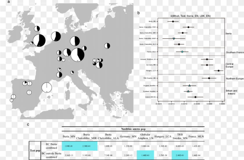 846x555 Holy See And The State Of Palestine, Chart, Plot, Diagram Sticker PNG