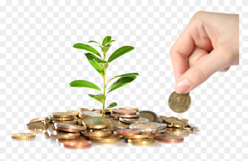 794x495 Homa Living Real Estate Money Plant, Person, Human, Coin HD PNG Download