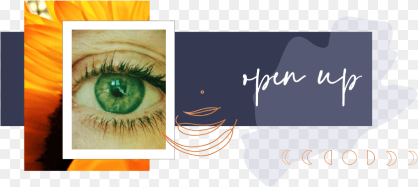 Home, Art, Collage, Face, Head Transparent PNG