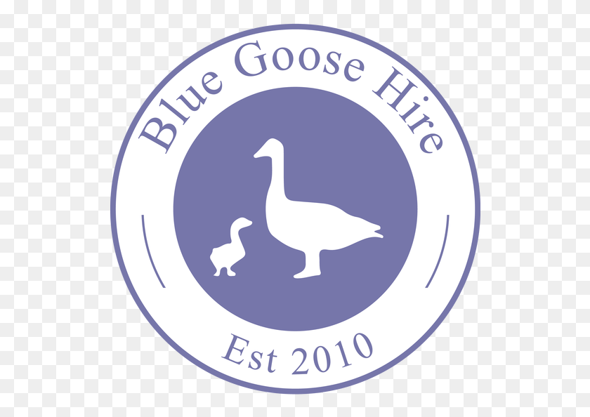 528x534 Home About Duck, Goose, Bird, Animal HD PNG Download