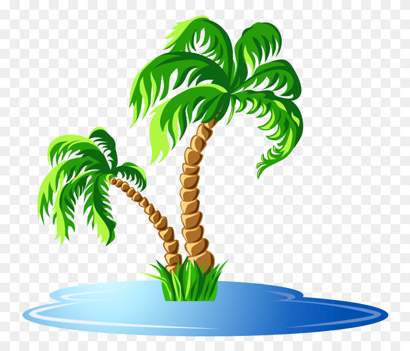 752x660 Home Center Cartoon Island Palm Tree, Tree, Plant, Arecaceae HD PNG Download