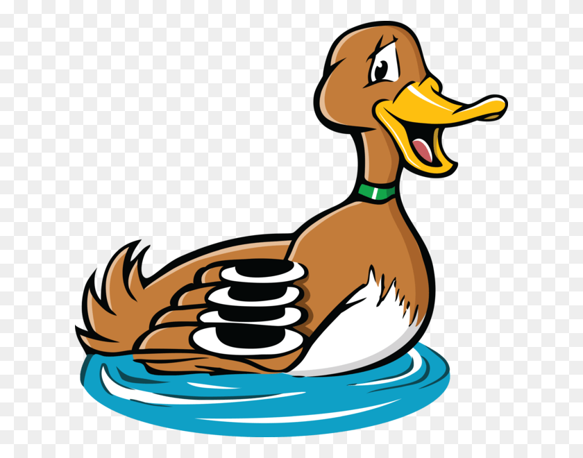 624x600 Home Clipart Duck Cartoon Duck, Bird, Animal, Tree HD PNG Download