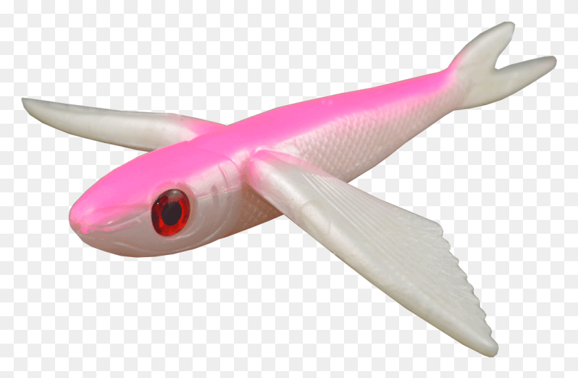 1082x681 Home Fatboy Flying Fish Flying Fish Pink, Animal, Transportation, Blade HD PNG Download