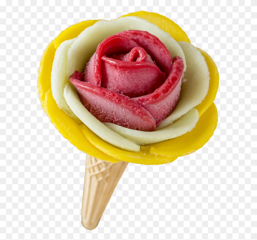 600x722 Home Gelarto Rosa Поддайтесь Искушению Цветочное Мороженое, Роза, Растение, Цветение Hd Png Скачать