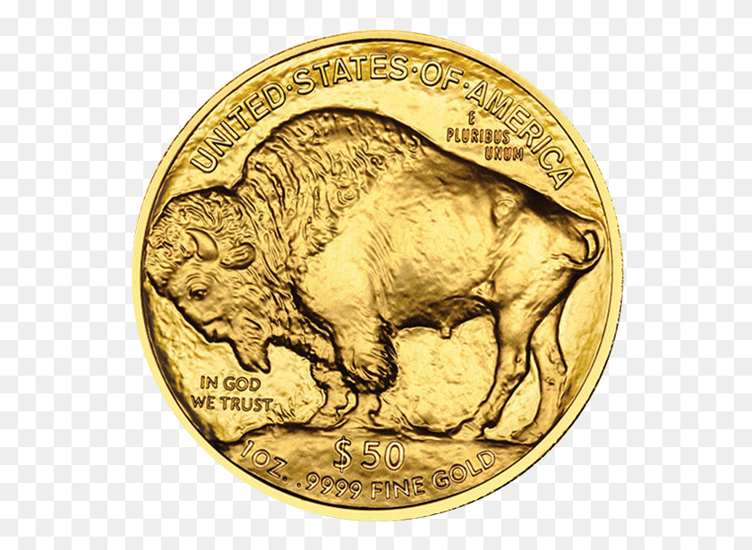 555x555 Home Gold Buffalo Coins, Coin, Money, Nickel HD PNG Download