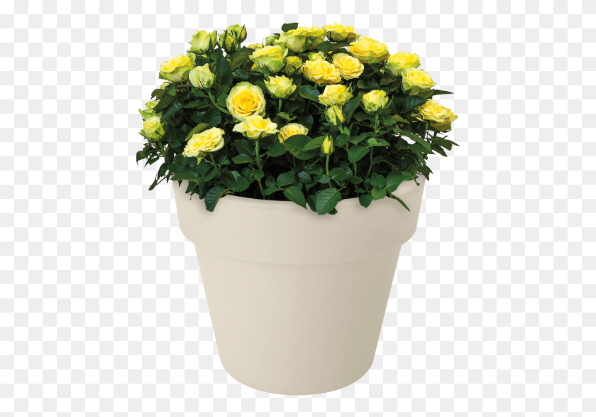 460x527 Home Gt Collection Gt Green Basics Top Planter Flowerpot, Plant, Flower, Blossom HD PNG Download