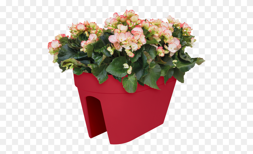 527x450 Home Gt Collection Gt Loft Urban Flower Bridge Flowerpot, Plant, Blossom, Flower Arrangement HD PNG Download