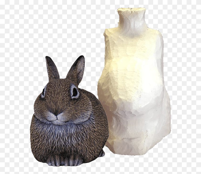 591x669 Home Gt Roughouts Gt Leah Goddard Roughouts Gt Roughout Snowshoe Hare, Animal, Snowman, Winter HD PNG Download